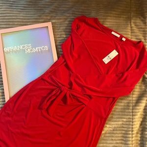 Beautiful NWT Red Stretchy Dress